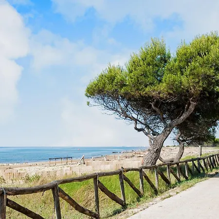 Апартаменти Cozy By The Бібіоне